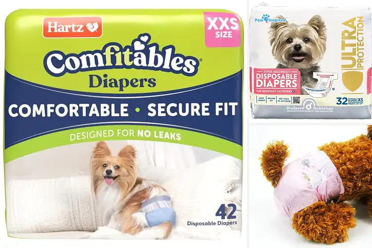Detailed view of Best Puppy Training Diapers