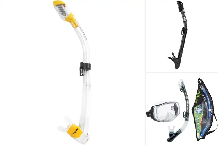 Detailed view of Best Purge Snorkels
