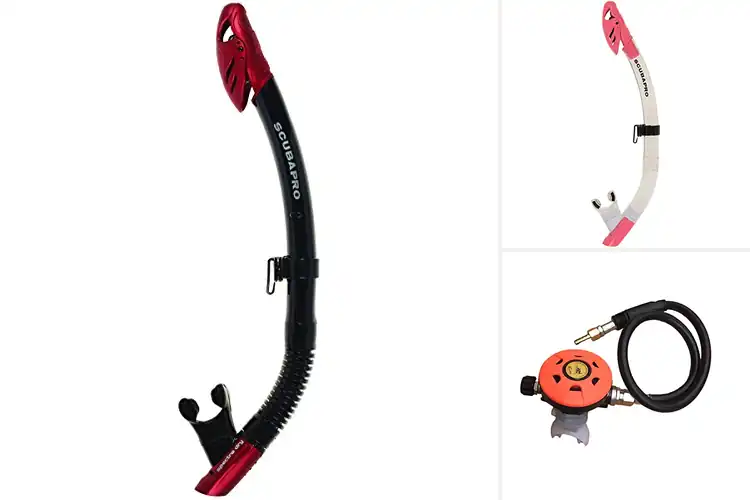 Detailed view of Best Regulator-Style Snorkels
