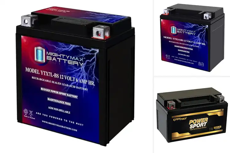 Detailed view of Best Replacement Motorcycle Batteries