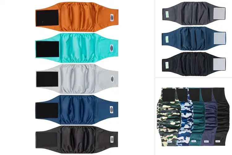 Detailed view of Best Reusable Dog Belly Bands