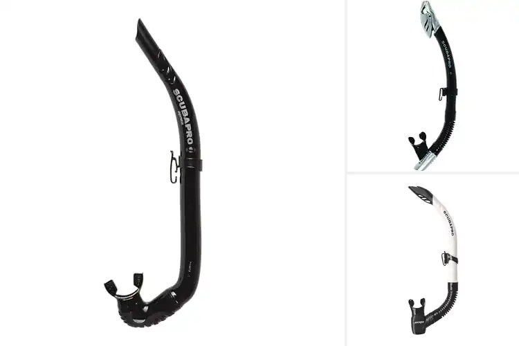 Detailed view of Best Scuba Pro Snorkels