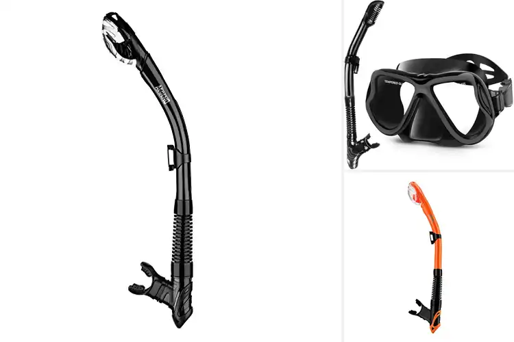 Detailed view of Best Scuba Snorkels
