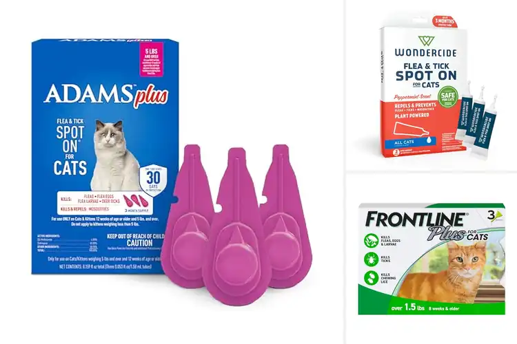Detailed view of Best Spot On Flea Products For Cats