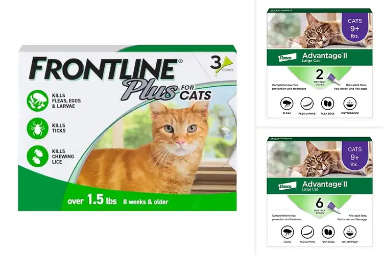 Detailed view of Best Spot On Flea Treatments For Cats