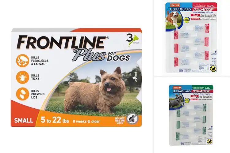 Detailed view of Best Spot‑On Parasite Products for Pets