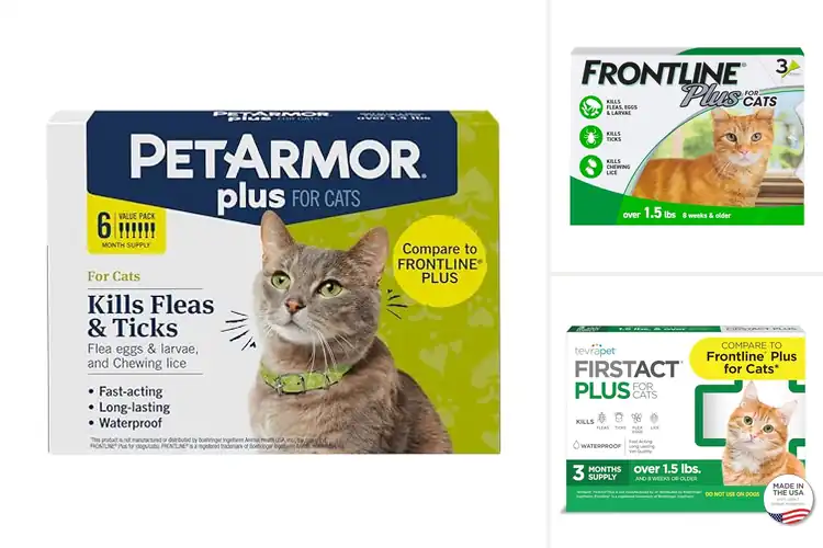 Detailed view of Best Tick Control For Small Cats: Safe Protection That Works