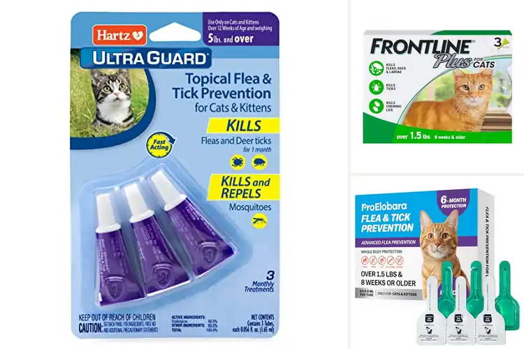 Detailed view of Best Tick Control Products for Cats