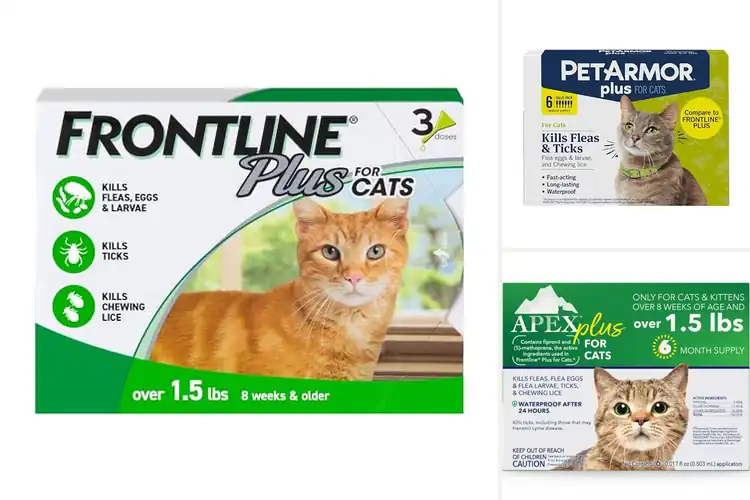 Detailed view of Best Tick Preventatives For Cats