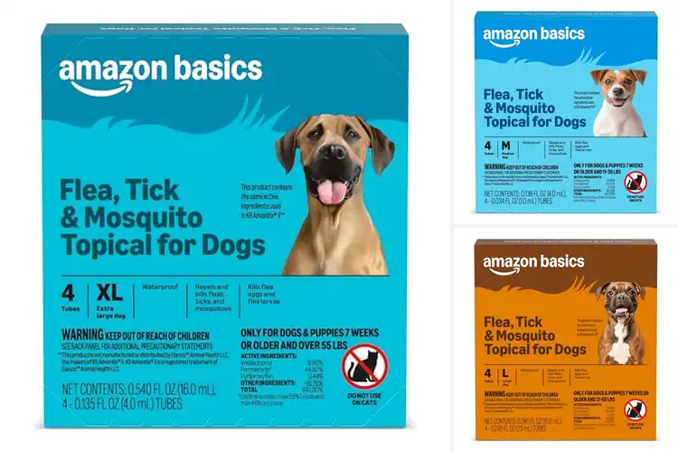 Detailed view of Best Tick Preventatives: Protect Your Pets with Confidence