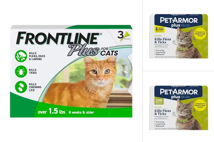 Detailed view of Best Tick Prevention for Cats