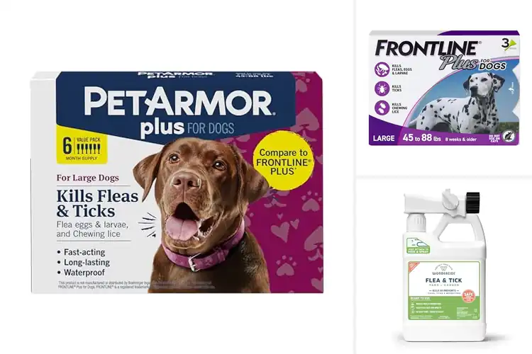 Detailed view of Best Tick Treatments