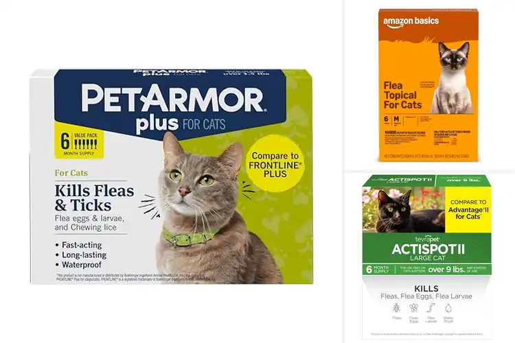 Detailed view of Best Topical Flea Controls For Cats