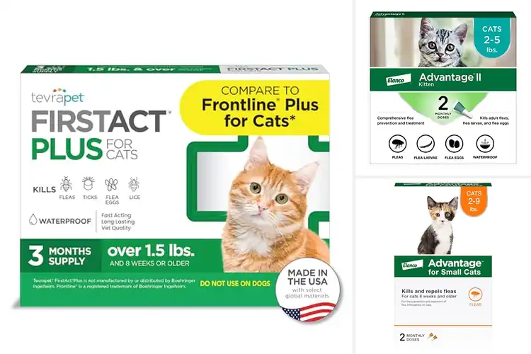 Detailed view of Best Topical Flea Medications For Kittens