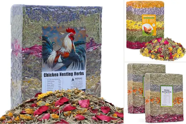 Detailed view of Best Vacuum Packed Herbs
