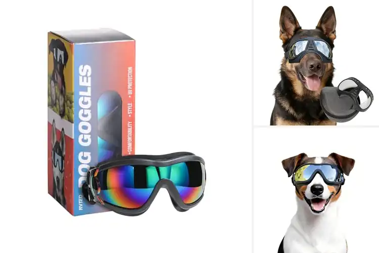 Detailed view of Best Windproof Dog Goggles for Safe Outdoor Adventures