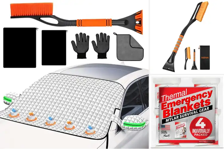Detailed view of Best Winter Car Essentials